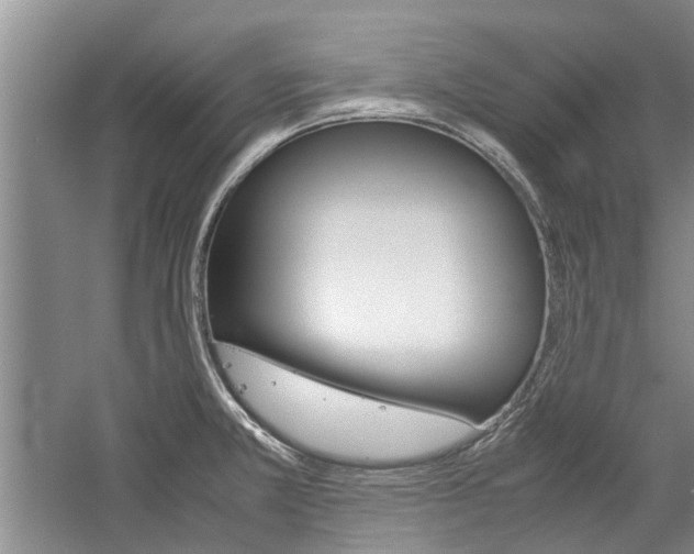 X0000059781381200510210844