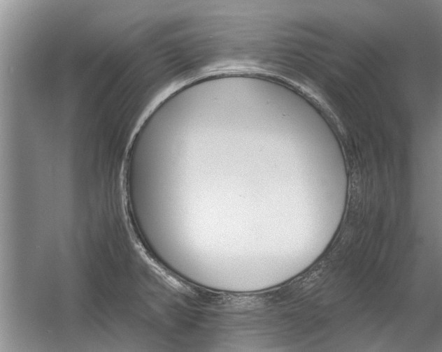 X0000059781382200510210844