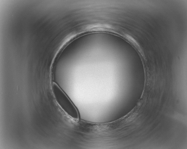 X0000059781384200510210844