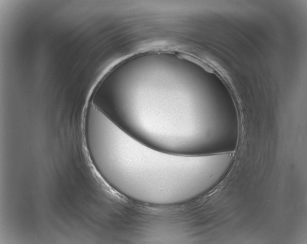 X0000059781392200510210844