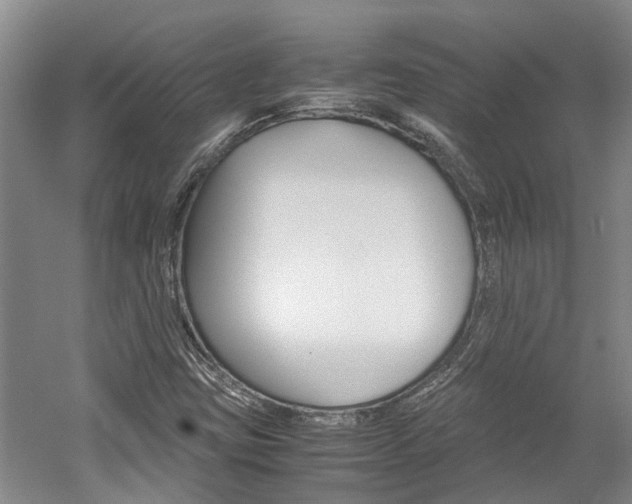 X0000059781403200510210843