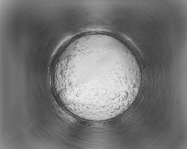 X0000059781408200510210843