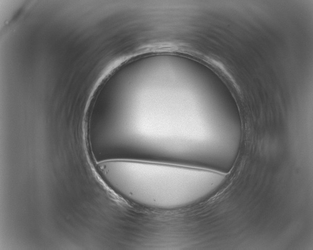 X0000059781424200510210843