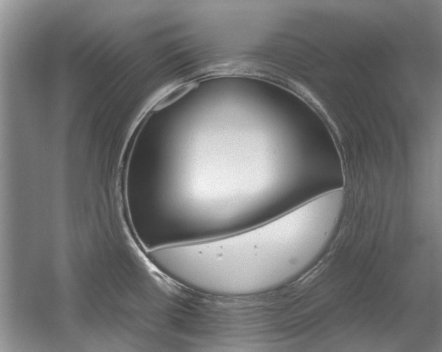 X0000059781434200510210843