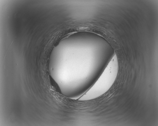 X0000059781441200510210843