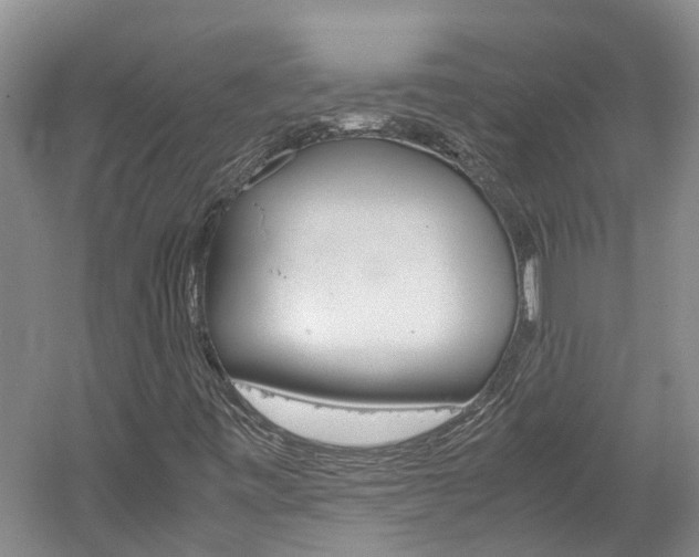 X0000059781443200510210843