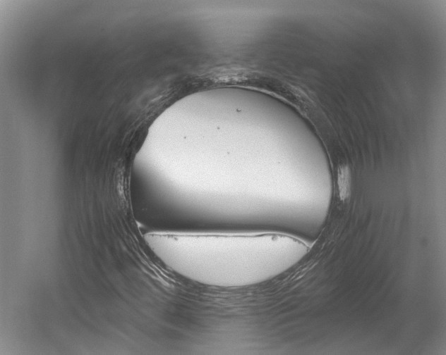 X0000059781444200510210843