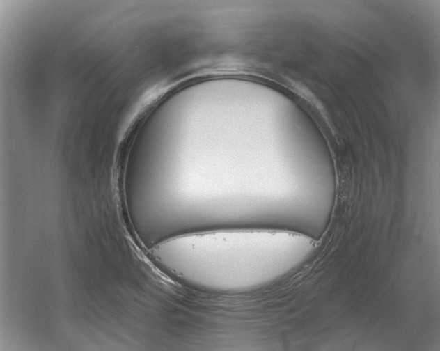 X0000059781464200510210842