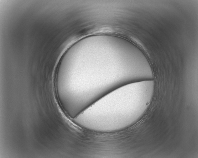 X0000059781475200510210842