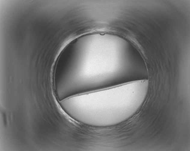 X0000059781483200510210842