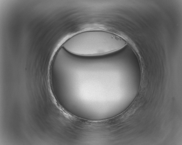 X0000059781488200510210842