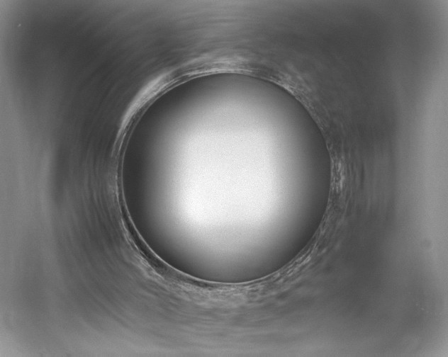 X0000059780004200510211103