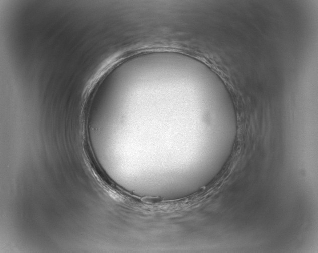 X0000059780005200510211103