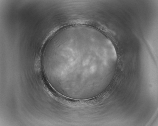 X0000059780012200510211103