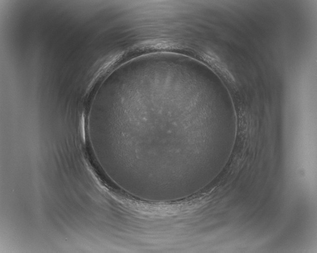 X0000059780014200510211103