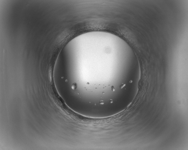 X0000059780021200510211103