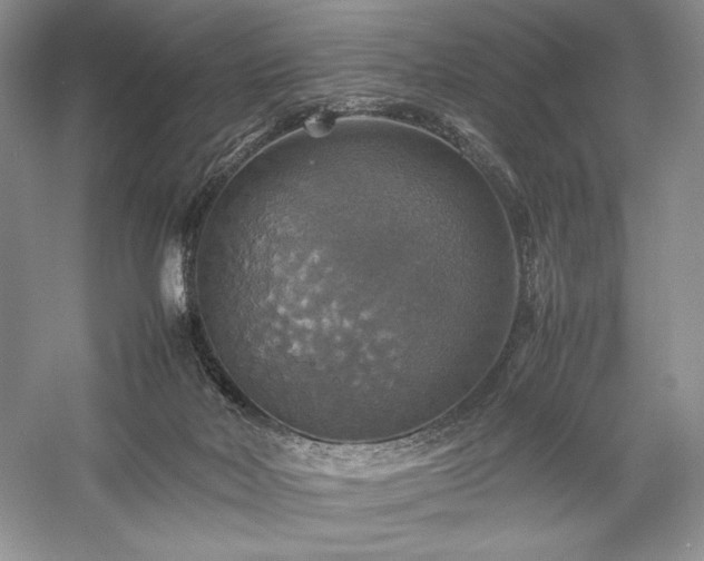 X0000059780026200510211103