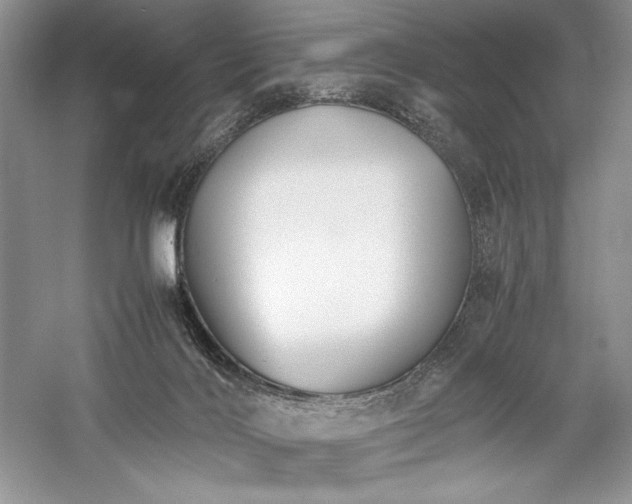 X0000059780028200510211103