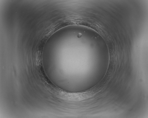 X0000059780030200510211102