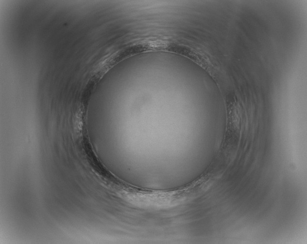 X0000059780032200510211102