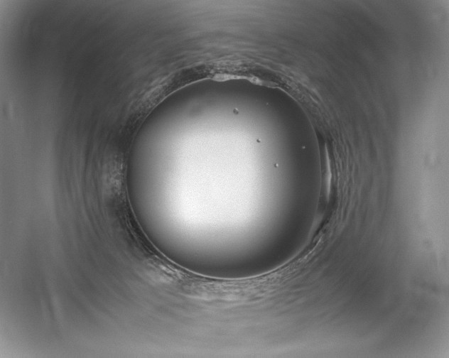 X0000059780033200510211102