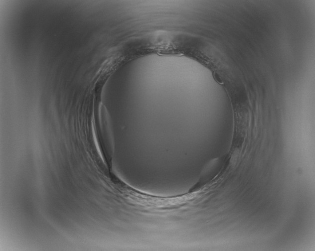 X0000059780035200510211102