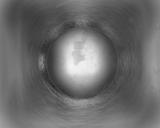 X0000059780038200510211102