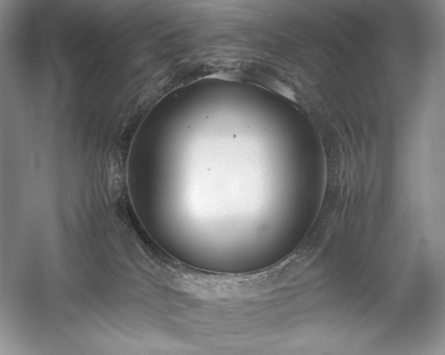 X0000059780040200510211102