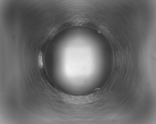 X0000059780042200510211102