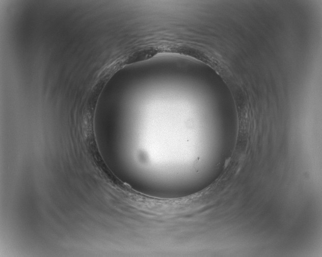 X0000059780043200510211102