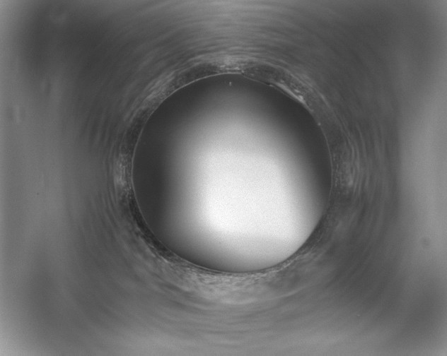 X0000059780044200510211102