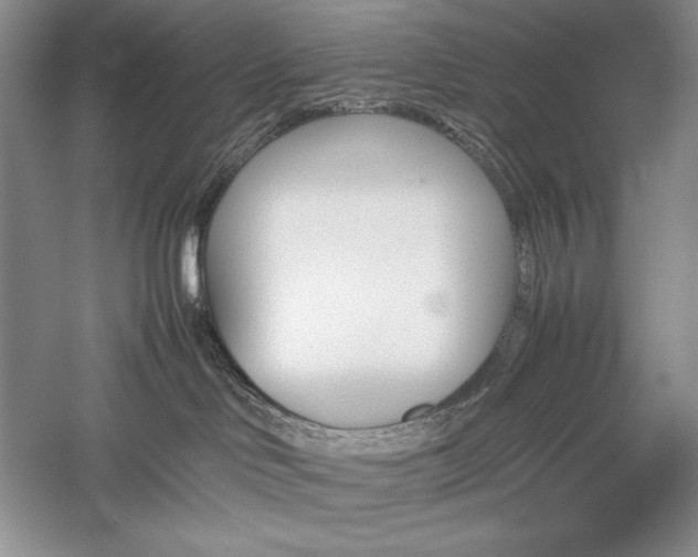 X0000059780046200510211102