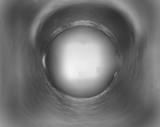 X0000059780047200510211102
