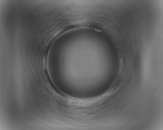 X0000059780048200510211102