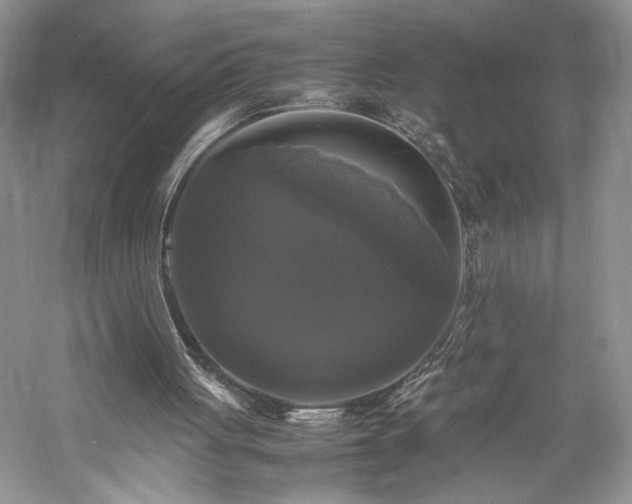 X0000059780051200510211101