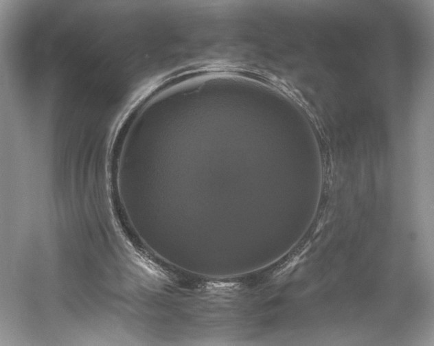 X0000059780055200510211101