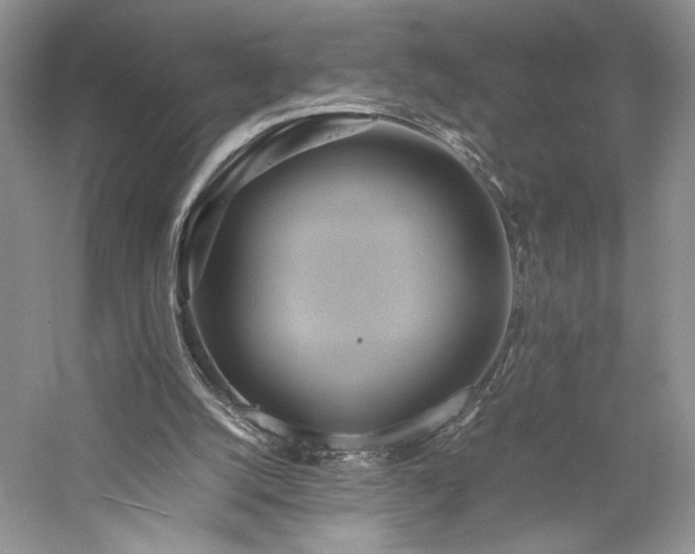 X0000059780056200510211101