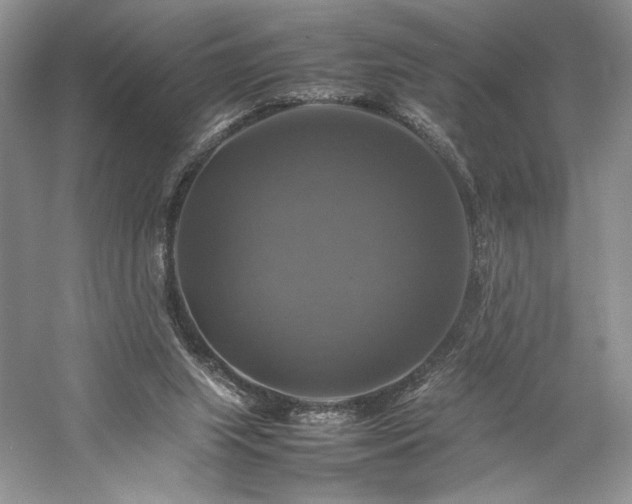 X0000059780063200510211102