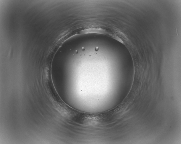 X0000059780071200510211102