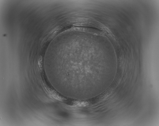 X0000059780073200510211102