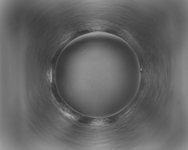 X0000059780076200510211102