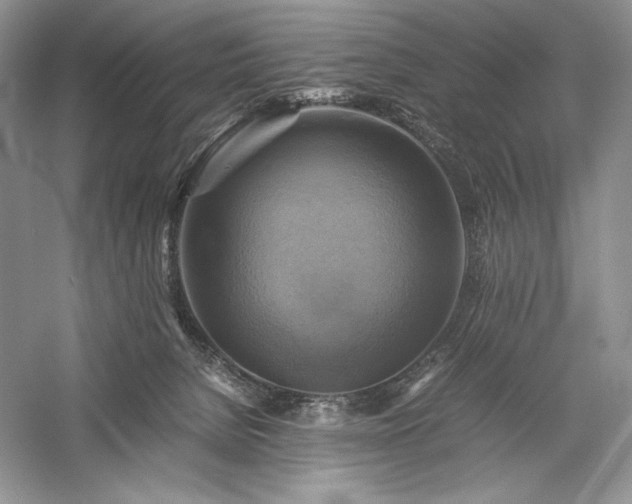 X0000059780080200510211102