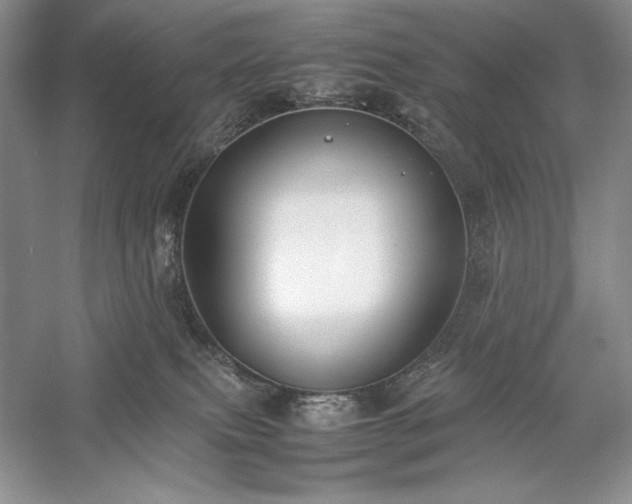 X0000059780087200510211102