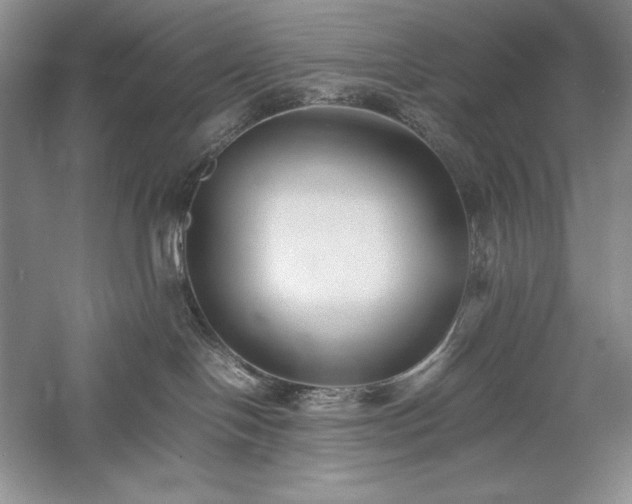 X0000059780094200510211102