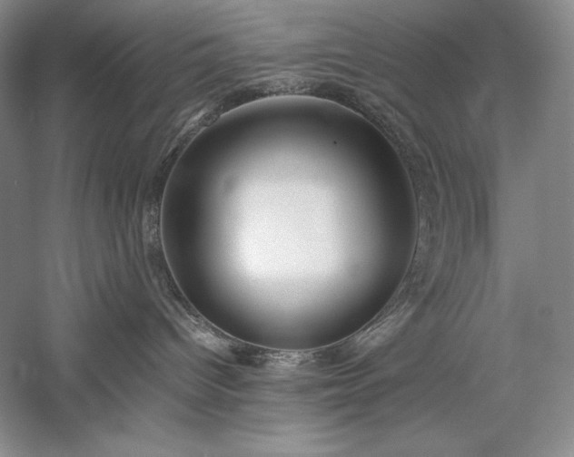X0000059780096200510211102