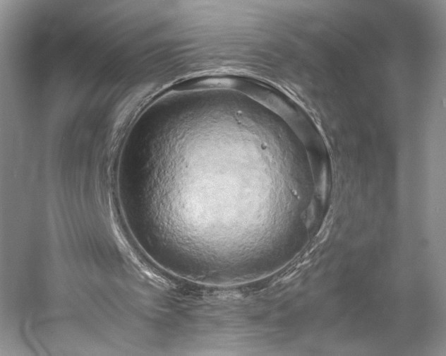 X0000059780097200510211101