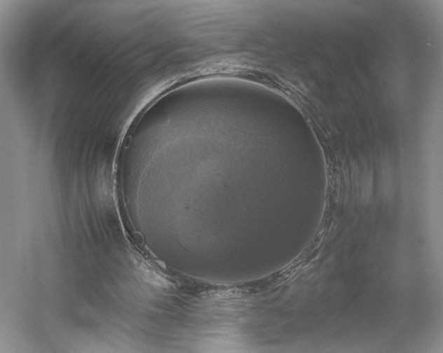 X0000059780100200510211101
