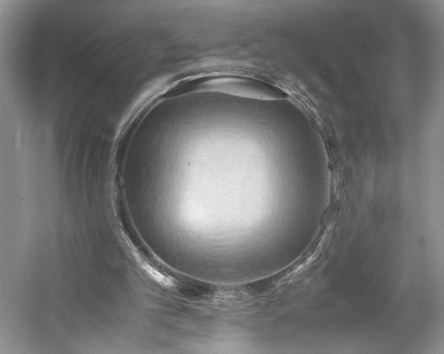 X0000059780101200510211101