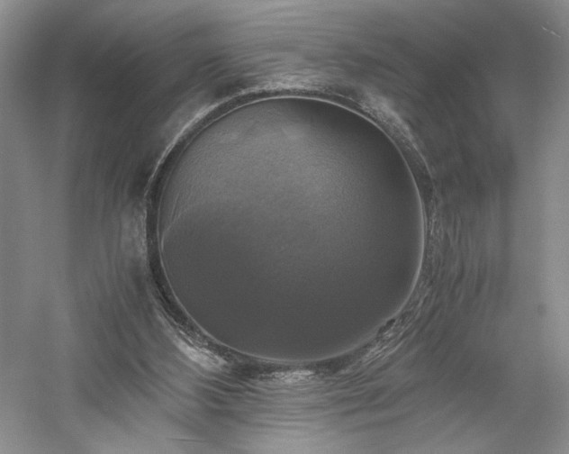 X0000059780108200510211101