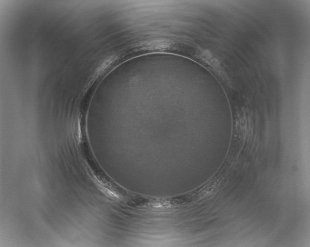 X0000059780110200510211101